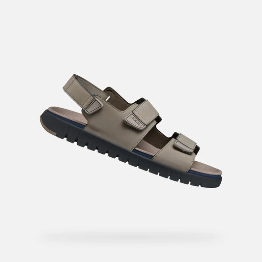 Dove Gray