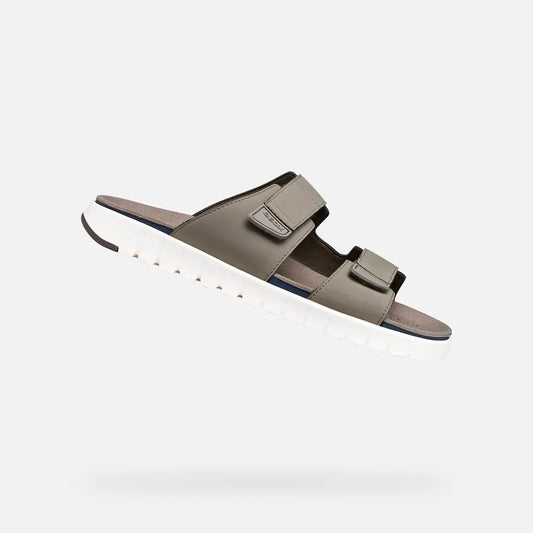Dove Gray