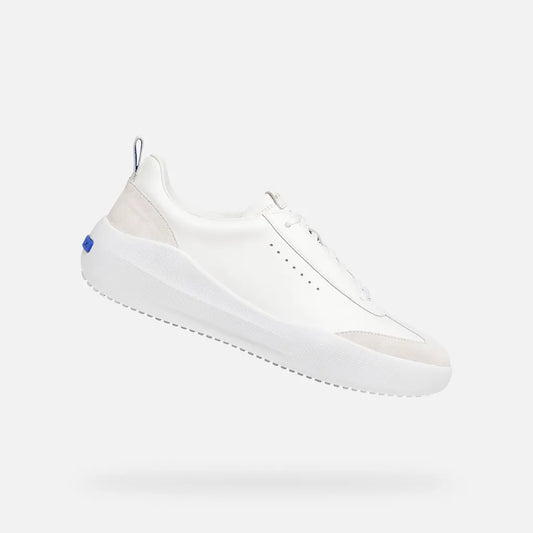 White/Off White
