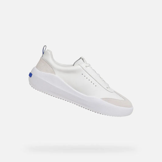 White/Off White