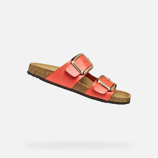 Coral
