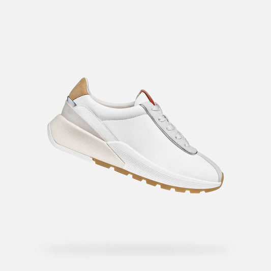White/Light Gray