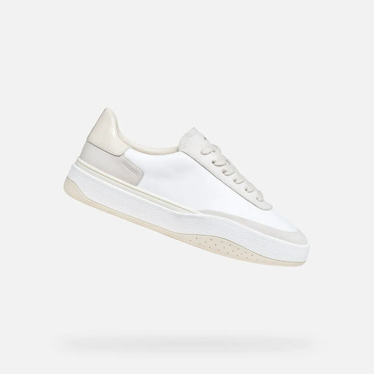 White/Light Gray