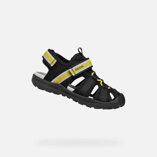 Black/Yellow