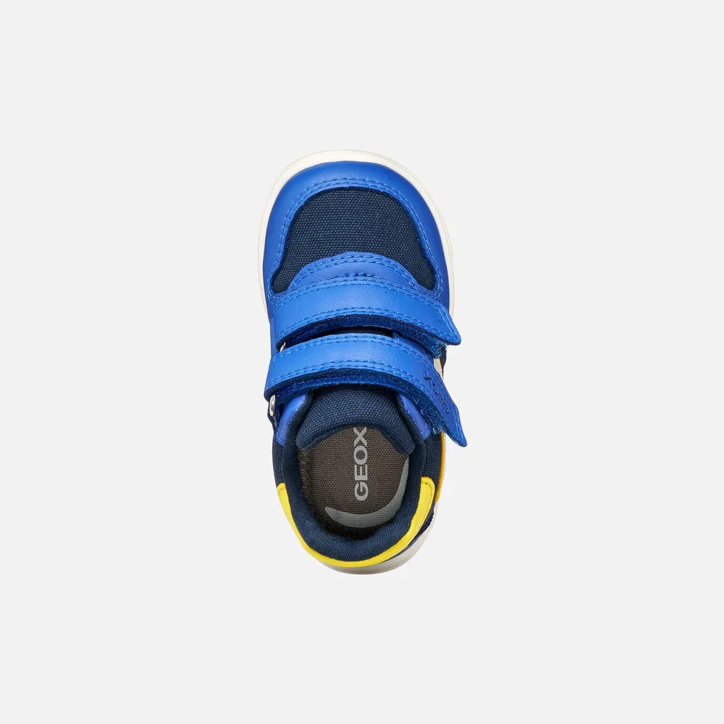 Royal/Yellow