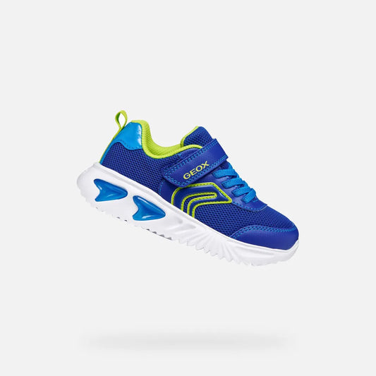 Royal/Lime