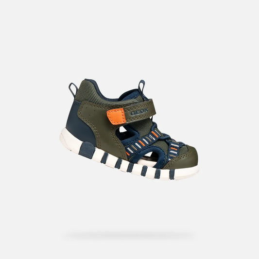 Dark green/Orange