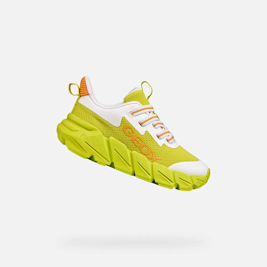 Lime/White
