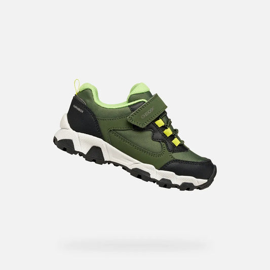 Military/Green