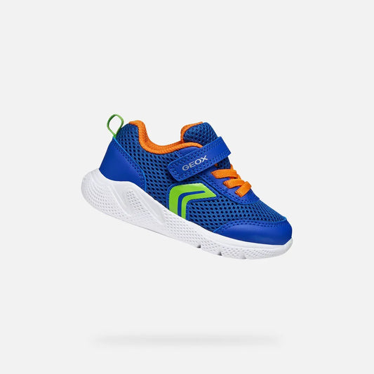 Royal/Orange
