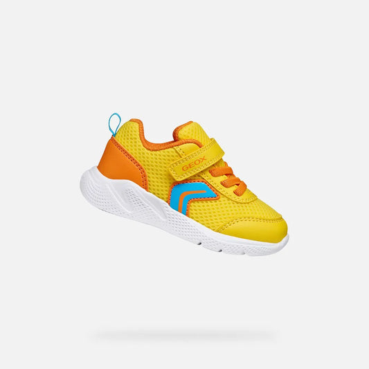 Yellow/Orange