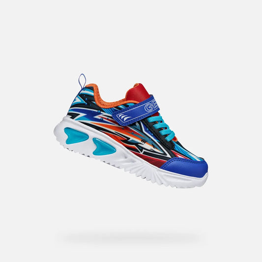 Royal/Orange