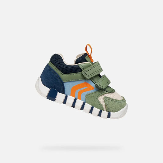 Olive green/Navy