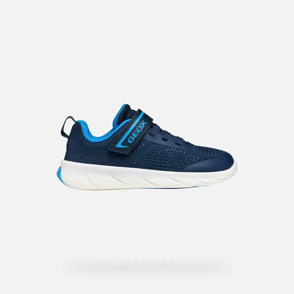 Navy/Azure