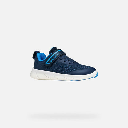 Navy/Azure