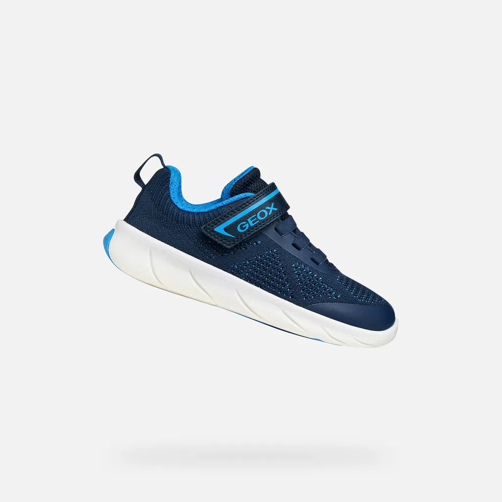 Navy/Azure