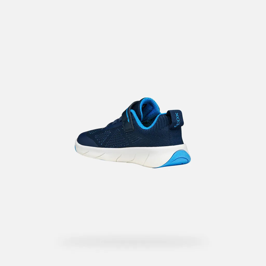 Navy/Azure