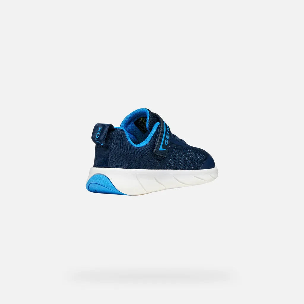 Navy/Azure