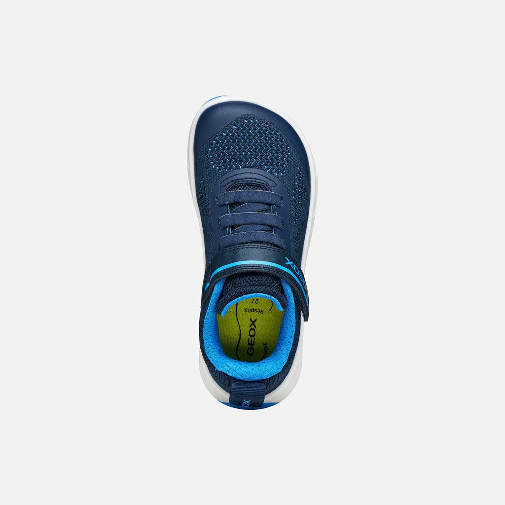 Navy/Azure