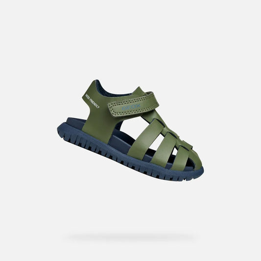 Sage/Navy