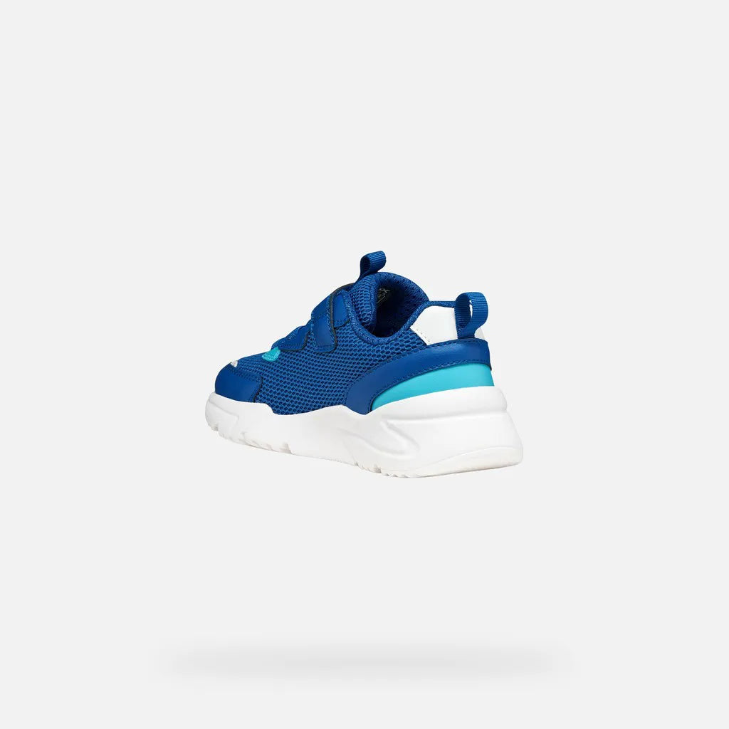 Royal/Azure