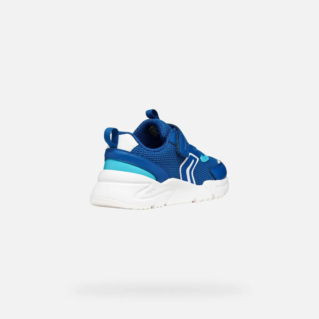 Royal/Azure