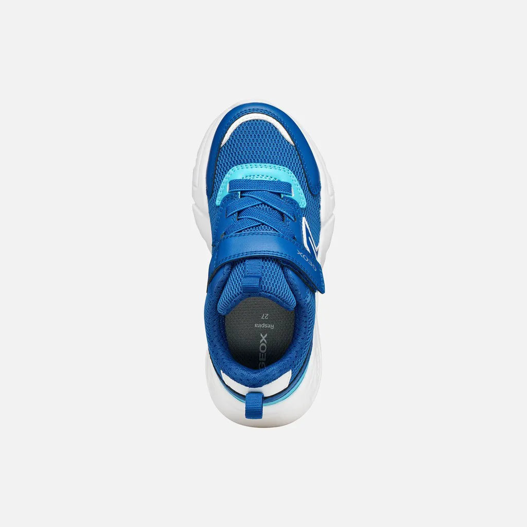 Royal/Azure