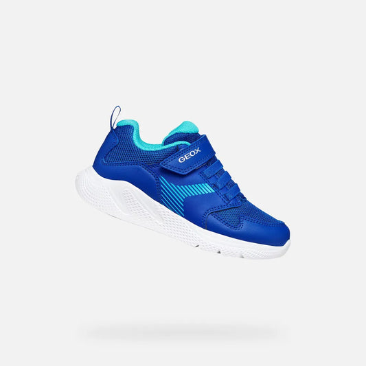 Royal/Light Blue