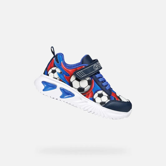 Navy/Royal
