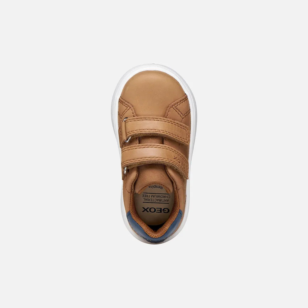 Cognac/Navy
