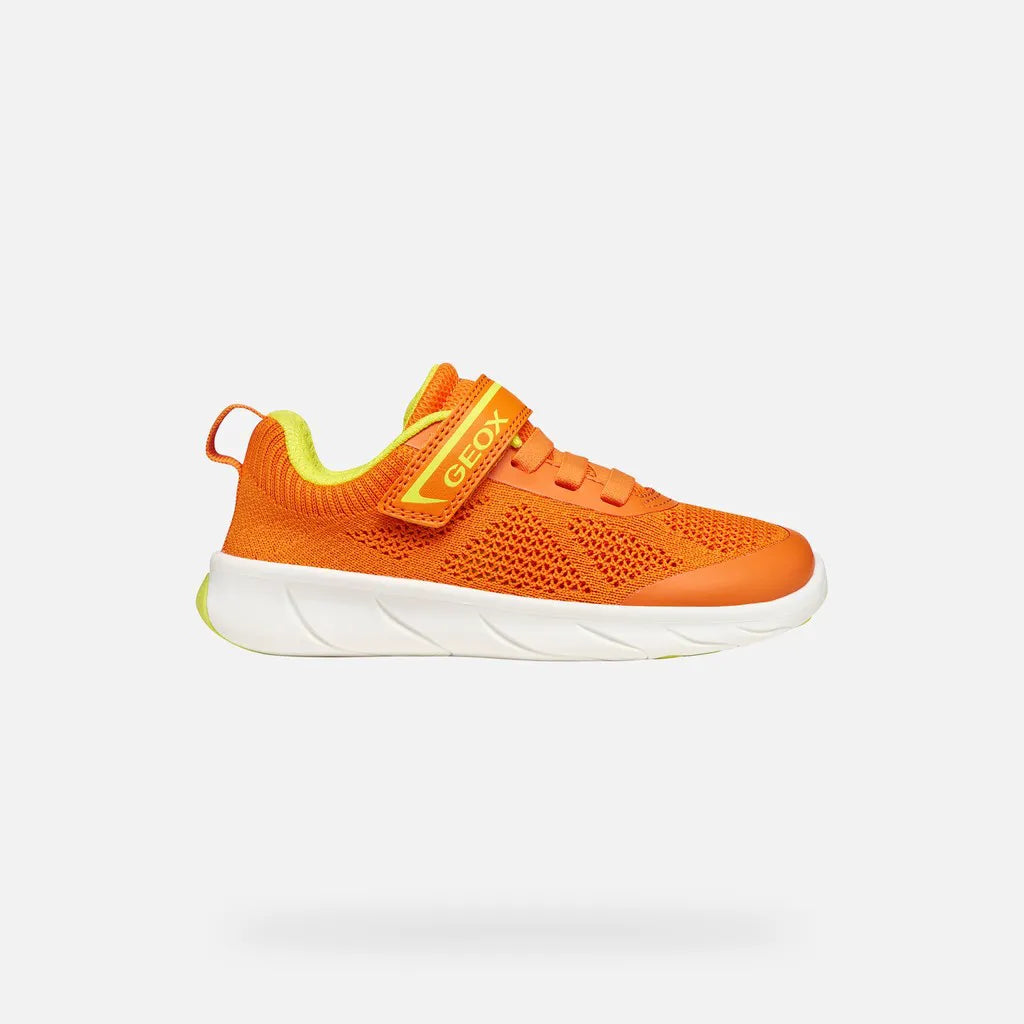 Orange/Lime green