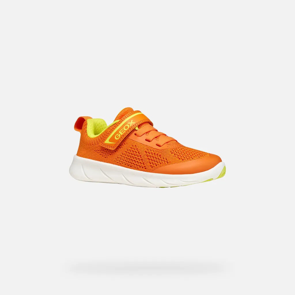 Orange/Lime green