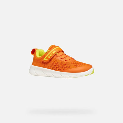 Orange/Lime green