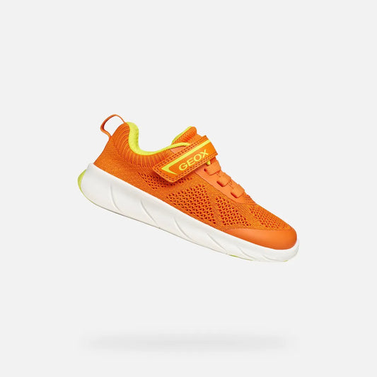 Orange/Lime green