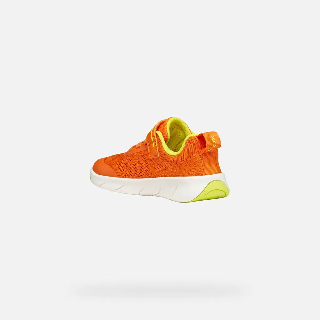 Orange/Lime green
