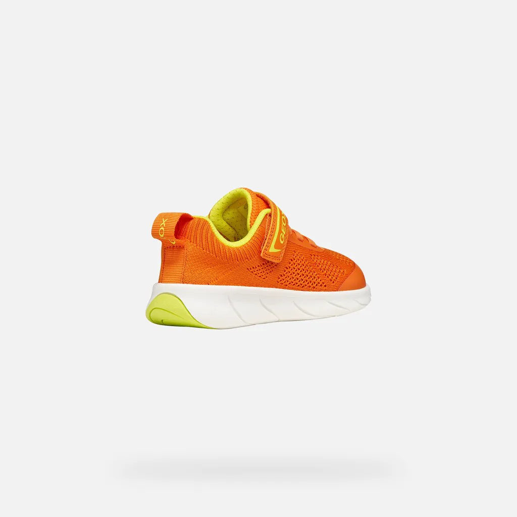 Orange/Lime green