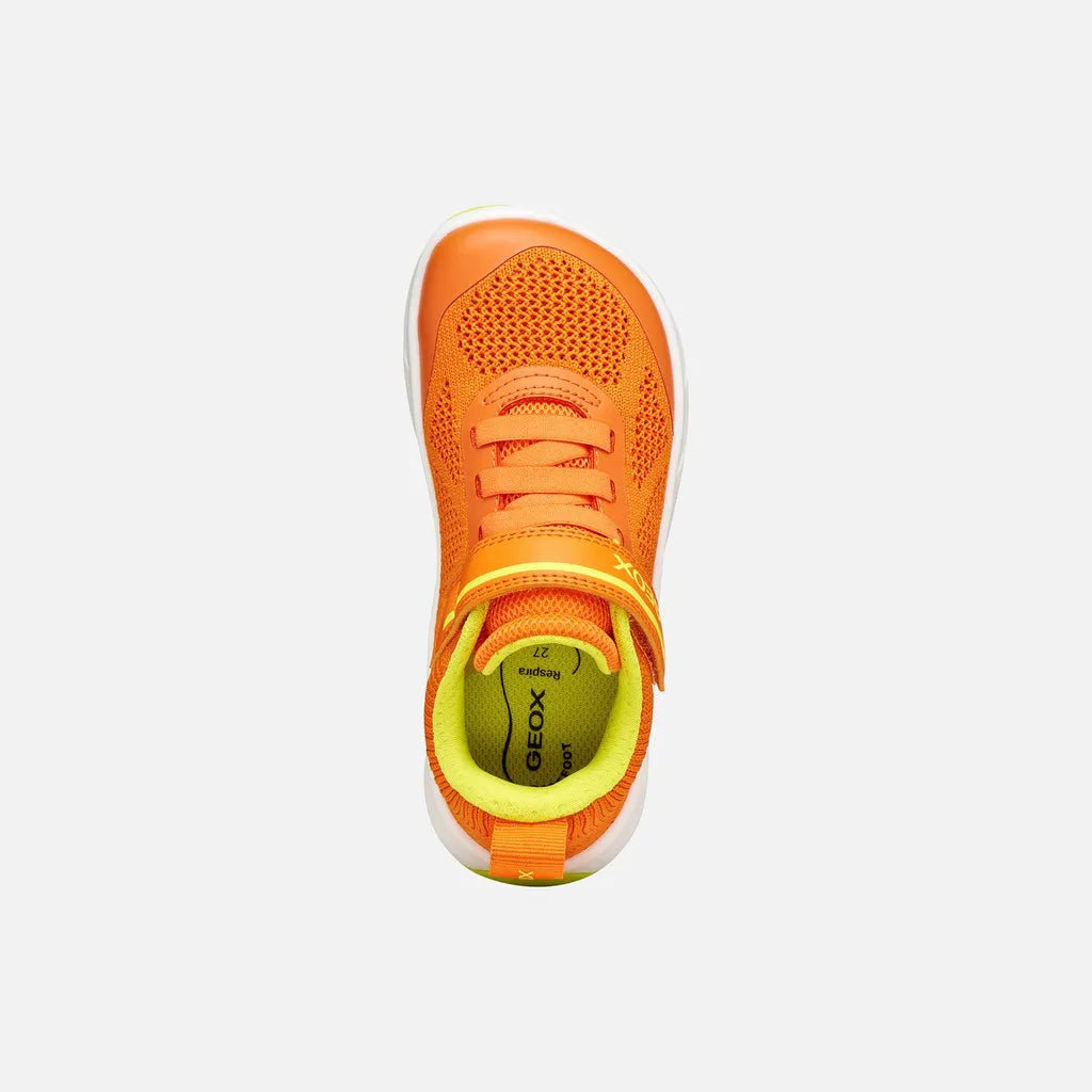 Orange/Lime green