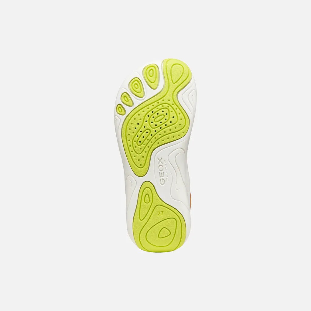 Orange/Lime green