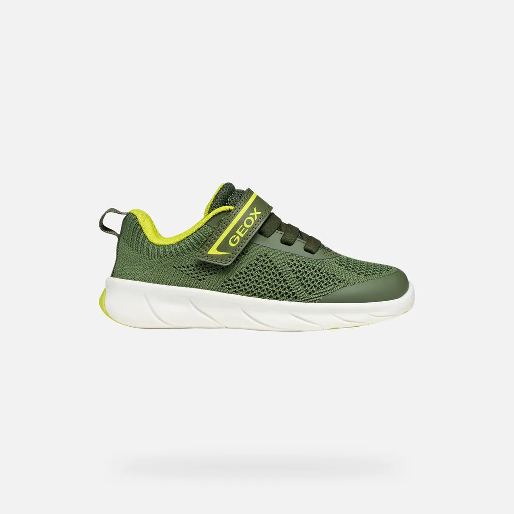 Military/Lime