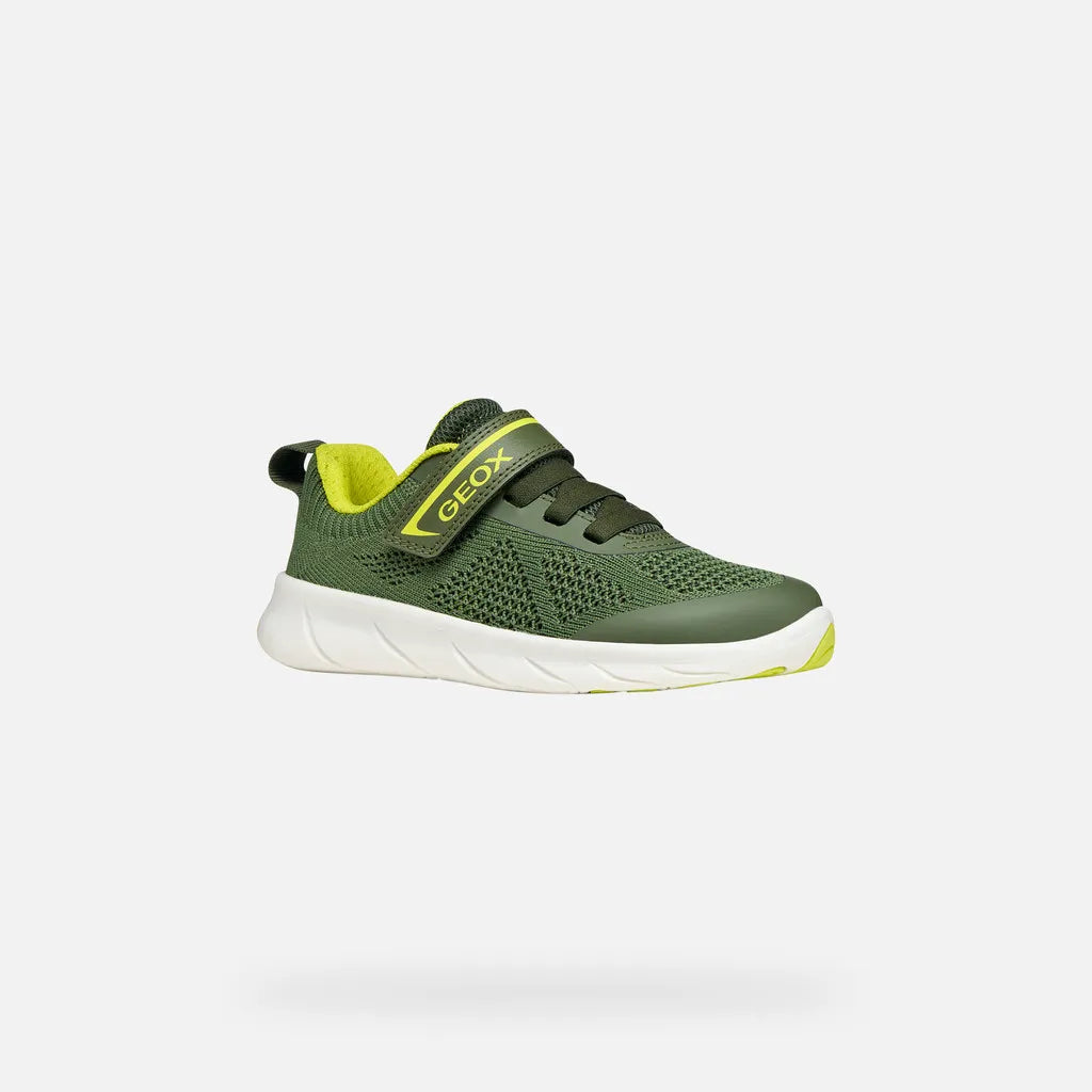 Military/Lime