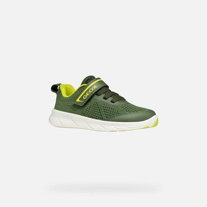 Military/Lime