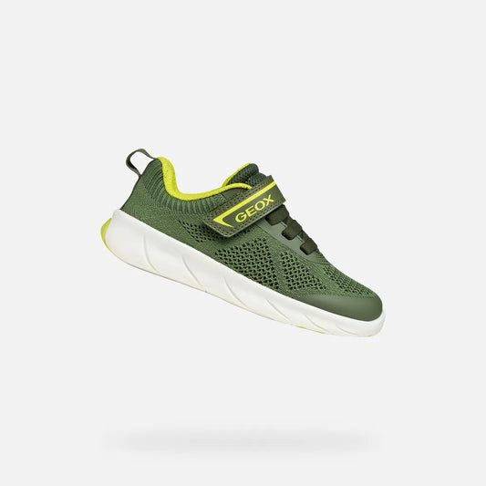 Military/Lime