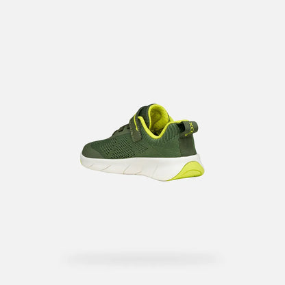 Military/Lime