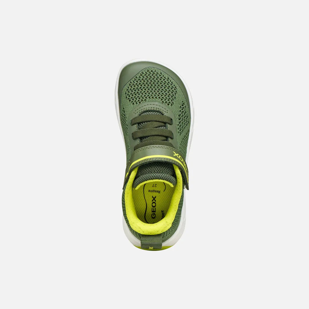 Military/Lime