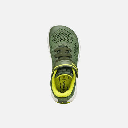 Military/Lime