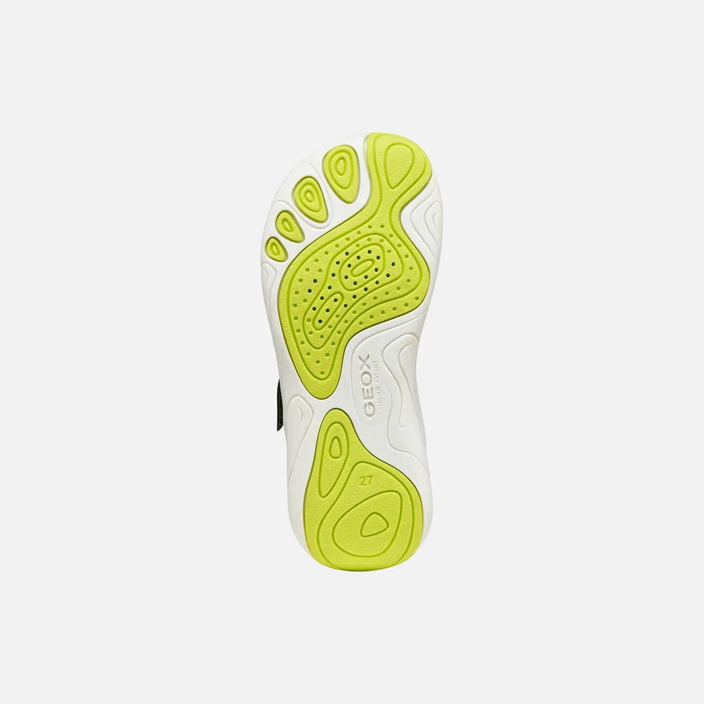 Military/Lime