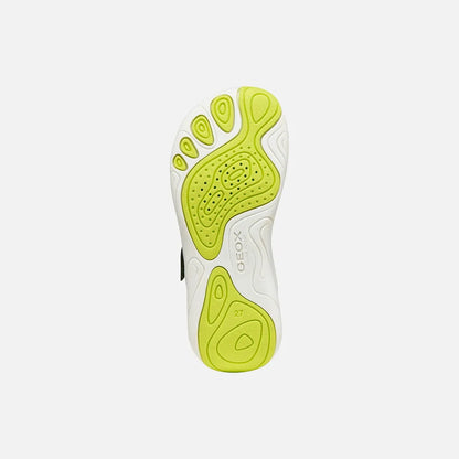 Military/Lime