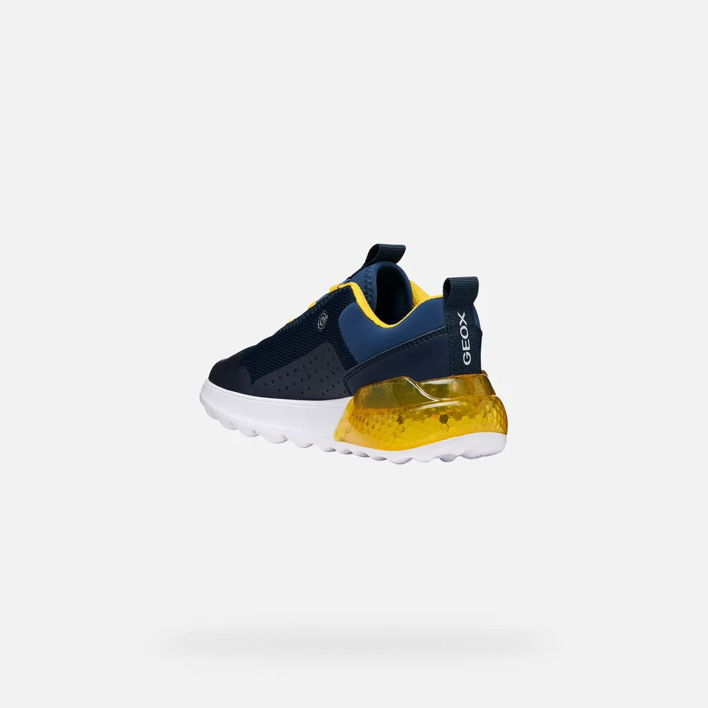 Navy/Yellow