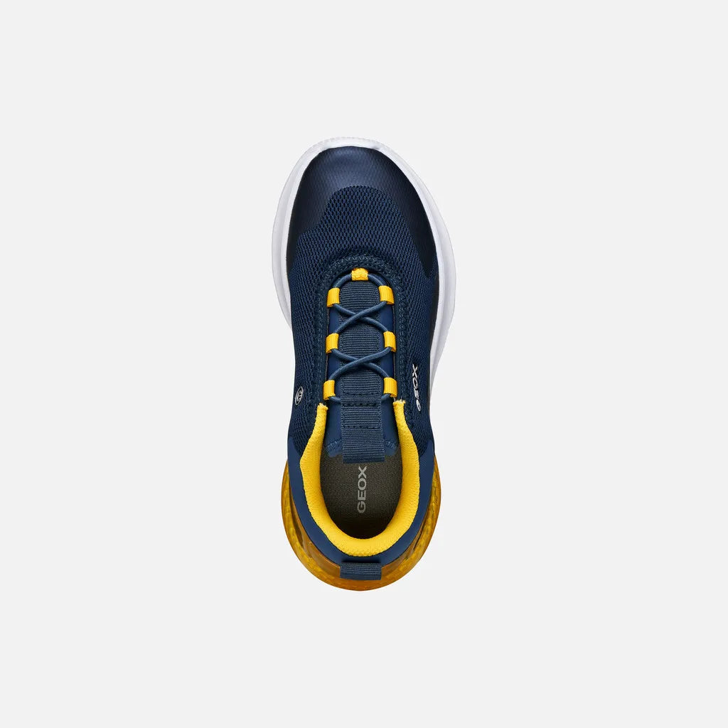 Navy/Yellow