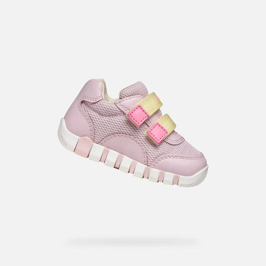 Pink/Light yellow